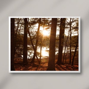 Fall Sunset Print| Digital Art Print| Michigan Photography| Ludington State Park