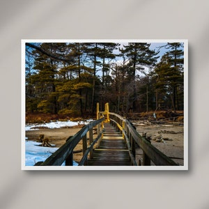 Nature Bridge Print| Digital Art Print| Michigan Photography| Ludington State Park