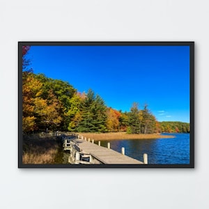Lost Lake Trail Print| Dital Art Print| Michigan Photography