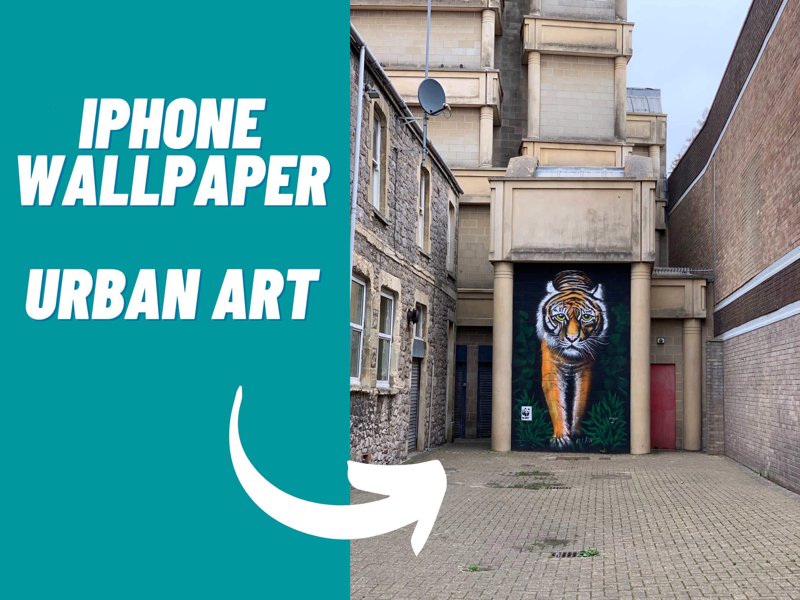 Banksy Iphone Etsy