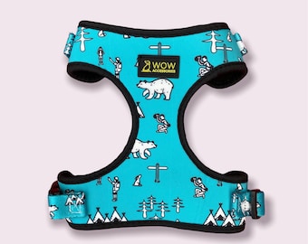Into The Wilderness Teal Dog Harness