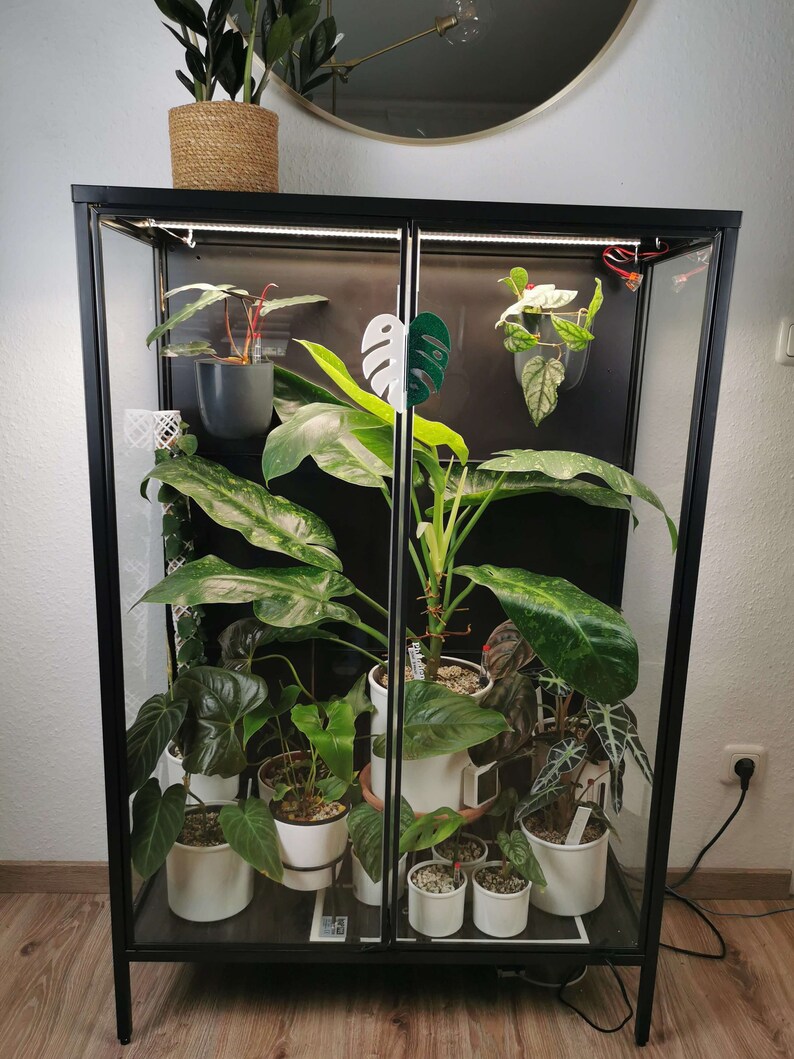 IKEA Rudsta HALF MOON Henkel Monstera Deliciosa Greenhouse Etsy UK