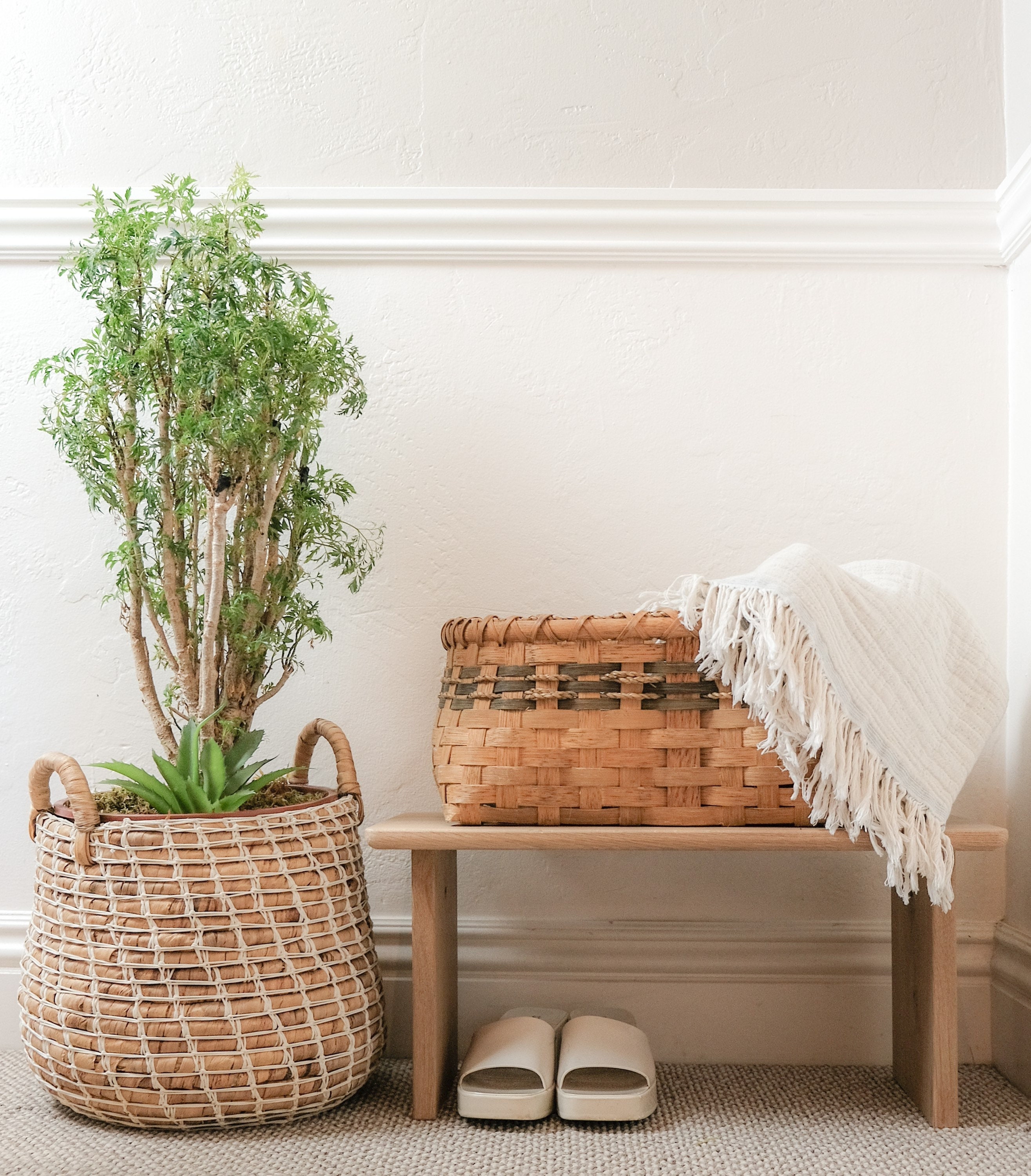 Support De Plante, Porte-Chaus