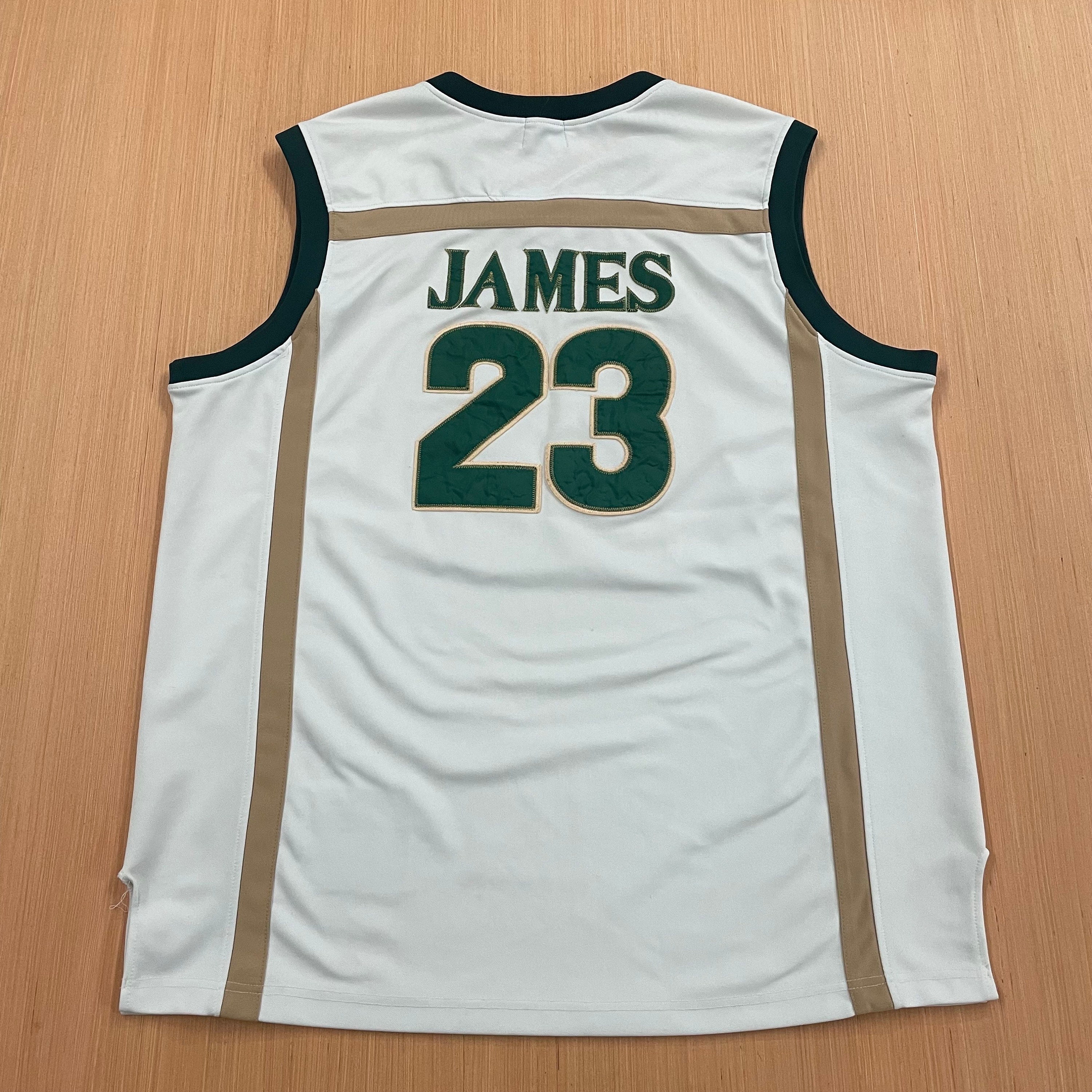 Lebron fighting irish jersey sale