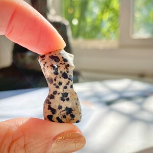 May include: A small, hand-carved, dalmatian jasper figurine of a female torso. The figurine is a light beige colour with black spots.