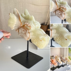 SEASMOKE XL Green Banded Onyx Sea Serpent Dragon Skull Carving 4138g 20x17x12cm 146oz 7.9x6.7x4.7in Carved Dragon Head With Stand Included