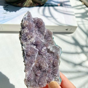 Very Special Silver Purple Amethyst Harlequin Pattern Galaxy Amethyst Flower Plate Cluster 142g 11x6x2cm 5oz 4.3x2.4x0.8in Uruguay GB10