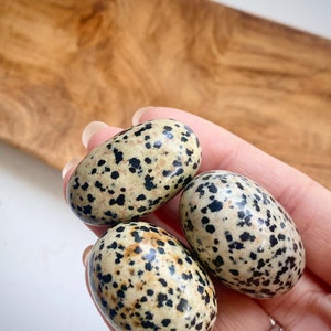 3 Large Dalmation Jasper Tumbles 15-25g 0.5-0.9oz 3-4cm 1.2-1.6in Large Spotted Crystal Lucky Palm Pocket Stone Green