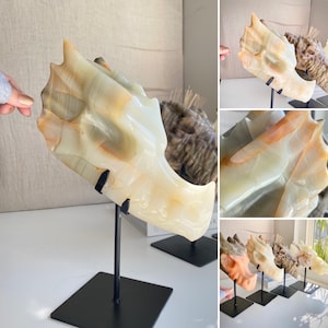 SYRAX XL Banded Onyx Dragon Skull Carving 3352g 23x10x11cm 118.2oz 9.1x3.9x4.3in Carved Onyx Dragon Head With Stand Included