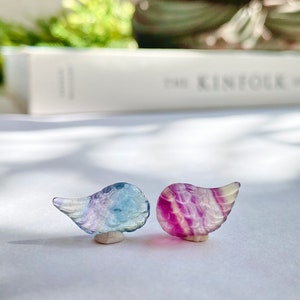 May include: Two small crystal angel wings, one blue and one purple, with a white base. The wings are carved from fluorite and have a translucent appearance.