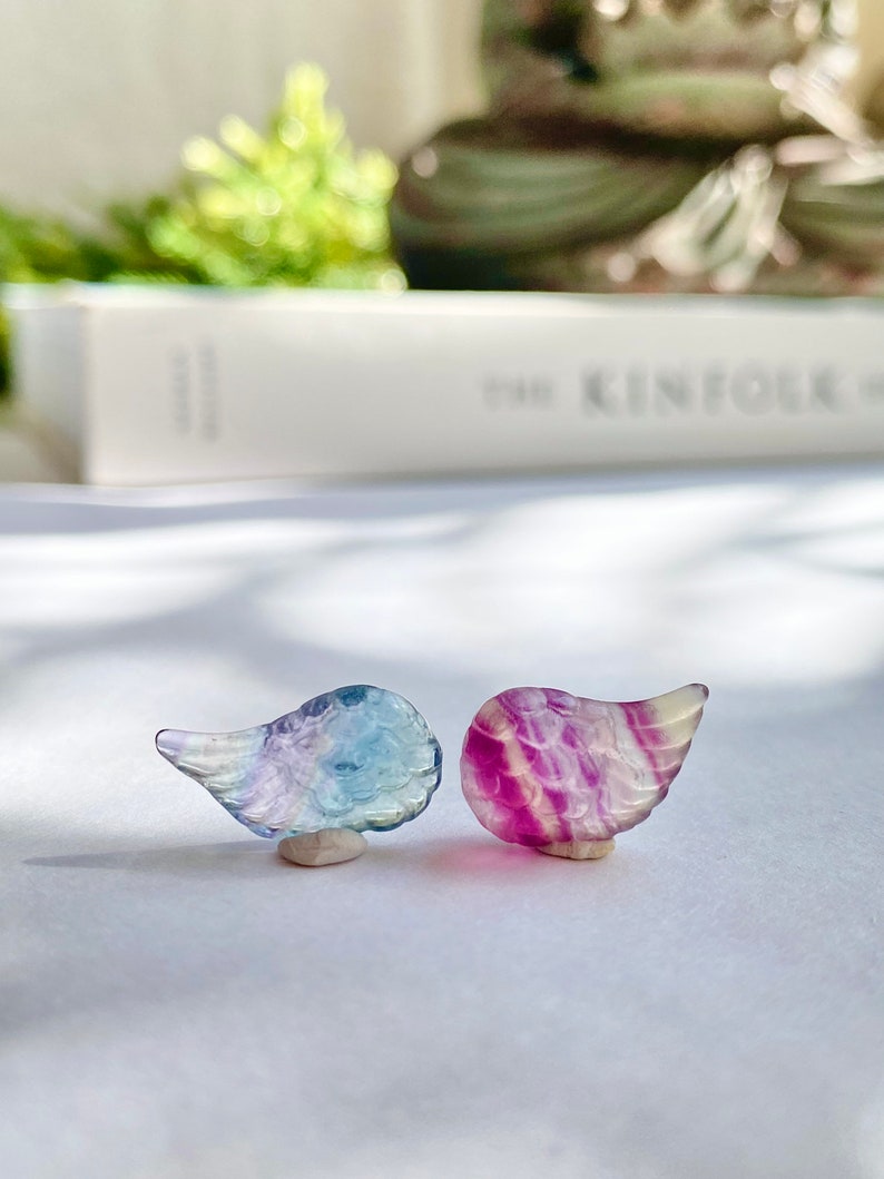 May include: Two small crystal angel wings, one blue and one purple, with a white base. The wings are carved from fluorite and have a translucent appearance.