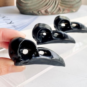 Black Obsidian Bird Skull Carving Highly Detailed Raven Crow Skull Carving 38g 6x3x3cm 1.3oz 2.4x1.2x1.2in Detailed Black Carved Bird Skull