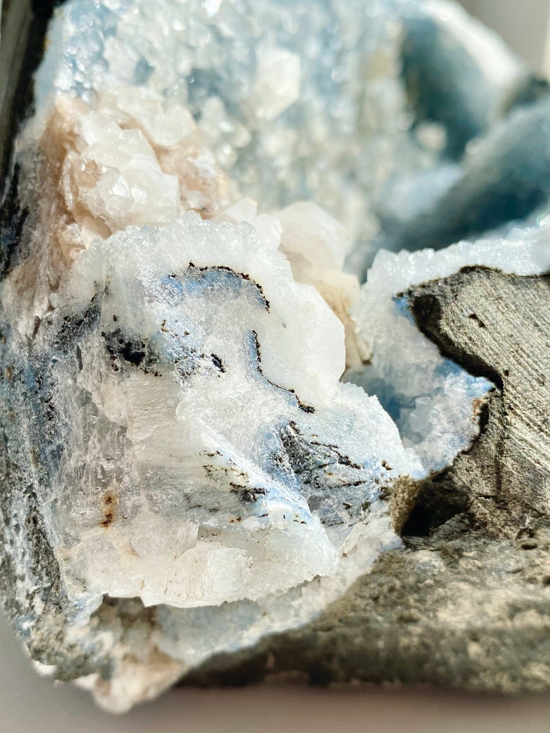 Huge Clamshell Natural Blue Quartz Cluster Glittering Gray Etsy