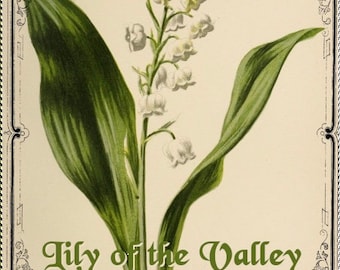 Lily of the Valley Perfume sample 5 ml Spray May flower fragrance for girls floral symbol vintage fresh parfum scent oil white gardener