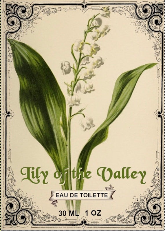 Lily of online the valley perfume