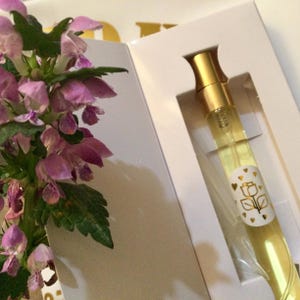 Wild flowers poppy daisy perfume sugared strawberry grapefruit citrus  botanical daisy spray for ladies perfume archaic poppy flower