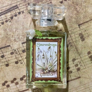 Snowdrops perfume eau de toilette January birth flower fragrance girls green floral symbol vintage fresh spring scent wild forest woods