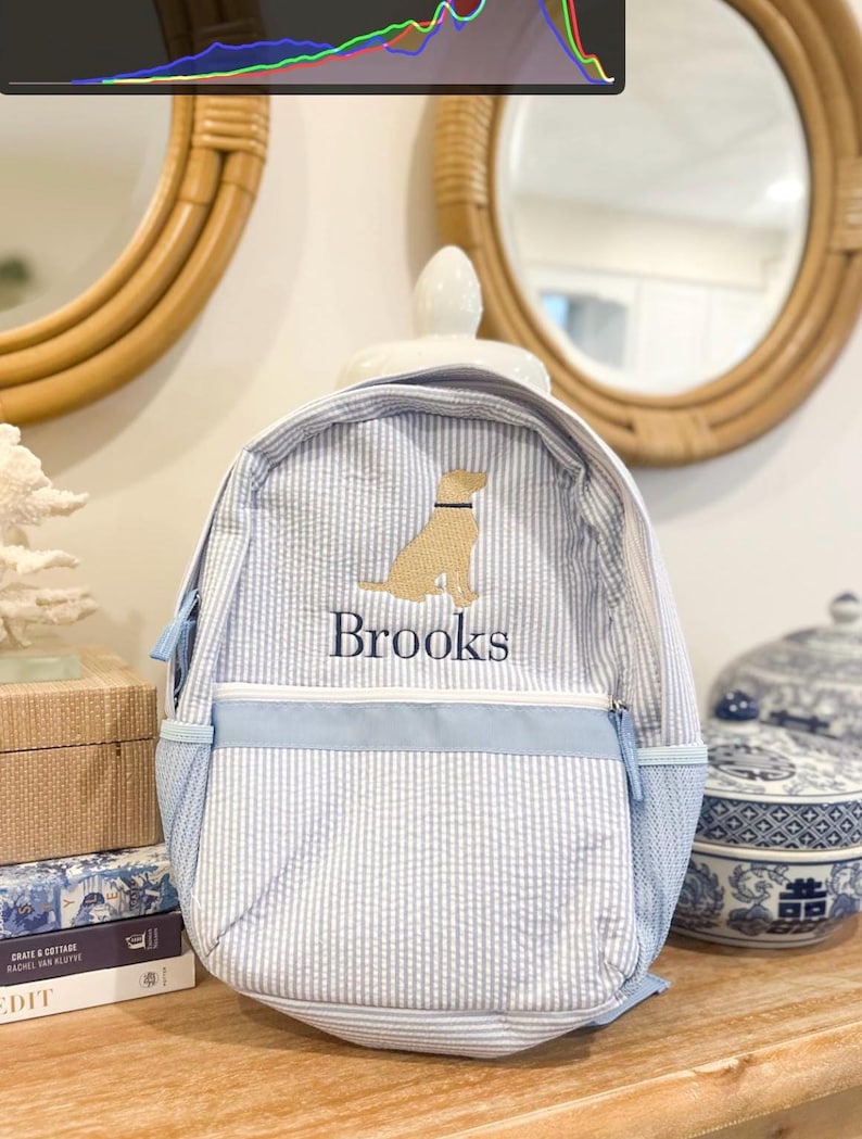 May include: A blue and white striped backpack with a dog graphic and the name "Brooks" embroidered on the front. The backpack has a light blue trim, a side mesh pocket, and a top handle. The bag is sitting on a wooden surface.