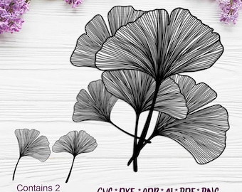 Ginkgo Biloba Leaves 3 | SVG, DXF, AI digital vector files for laser and plasma cutting or printing | Glowforge | Cricut | Wall decor