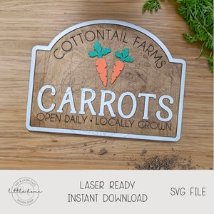 May include: A wooden sign with a white border and a rounded top reads "COTTONTAIL FARMS CARROTS OPEN DAILY LOCALLY GROWN". Two orange carrots with green tops are displayed on the sign.