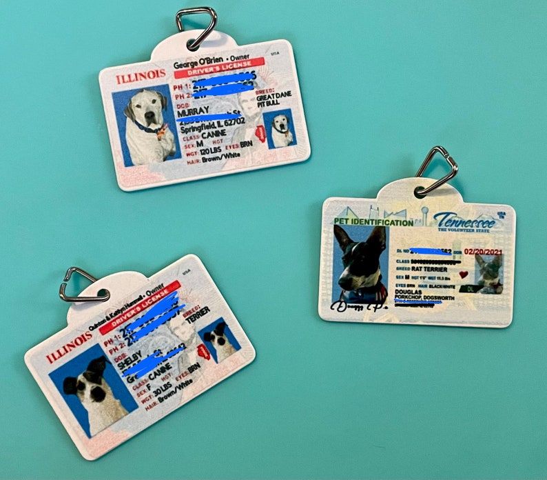 Drivers License Dog Tag Etsy