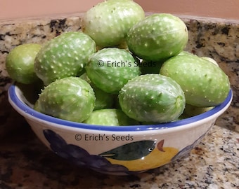 30 West Indian Burr Gherkin Seeds Heirloom cucumbers