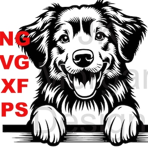 May include: Black and white illustration of a dog with its paws resting on a wooden surface. The dog is smiling and has a fluffy coat.