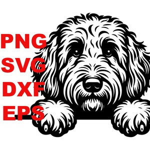 Labradoodle Golden Doodle gluren SVG PNG Clipart hond moeder commercieel gebruik gluren hond gesneden bestand DXF eps Doodle moeder doodle vader