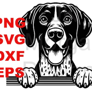 以下が含まれることがあります： 縞模様の表面から顔をのぞかせる、黒と白のドイツ短毛指示犬のイラスト。犬は胸と足に斑点模様があります。