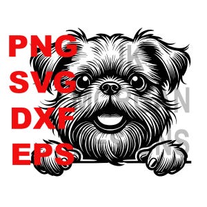 Grifone di Bruxelles che sbircia SVG PNG Clipart Bruxelles MomMom Uso commerciale Grifone di Bruxelles Papà File di taglio DXF eps