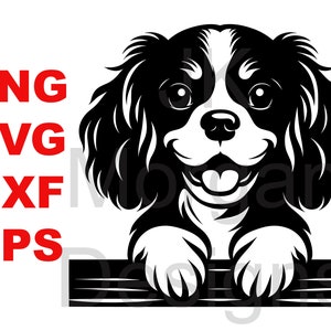 Cavalier King Charles Spaniel mirando SVG PNG Clipart Perro Mamá Uso comercial Perro mirando Papá Archivo de corte DXF eps Cavalier Mamá Cavalier Papá