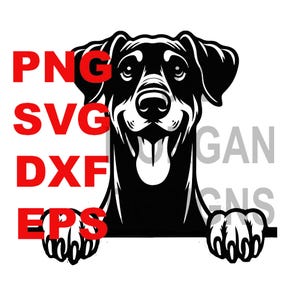 Doberman Pinscher naturliga öron SVG Peeking PNG Clipart Doberman mamma kommersiell användning Dobie hund pappa klippfil
