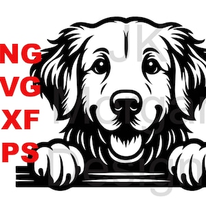 Golden Retriever che sbircia SVG PNG Clipart Golden Mom Uso commerciale Sbirciando Cane Papà File di taglio DXF eps Cane Mamma Golden Retriever Papà