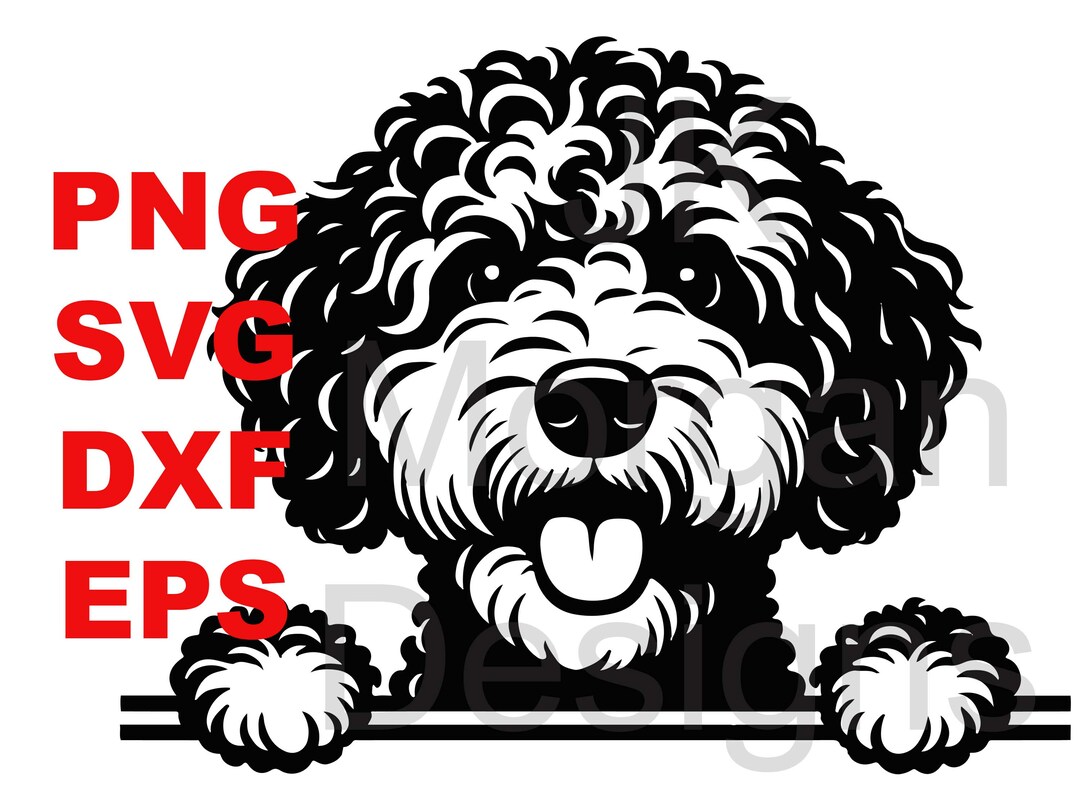 Lagotto Romagnolo Peeking SVG PNG Clipart Lagotto Mom Commercial Use ...