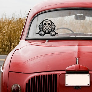 Labradoodle Golden Doodle Peeking SVG PNG Clipart Dog Mom Commercial ...
