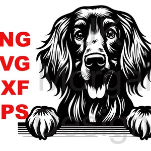 May include: Black and white illustration of a dog peeking over a surface with its paws on the surface. The dog has long, floppy ears and a long snout. The dog is looking at the viewer.