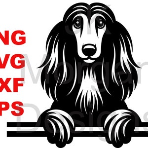 May include: Black and white silhouette of an Afghan Hound dog peeking over a black banner. The dog has long, flowing hair and a serious expression.