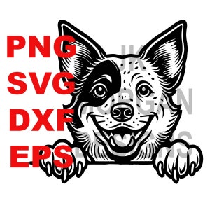 Australian Cattle Dog Peeking  SVG PNG Clipart Dog Mom Commercial Use Peeking Cattle Dog Dad Cut File DXF  eps Cattle Dog Mom