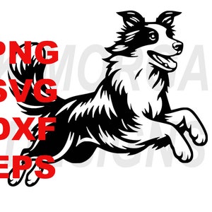 Springen Border Collie SVG PNG Clipart Border Collie Mama Kommerzielle Nutzung Springen Schnittdatei DXF Eps Hund Papa