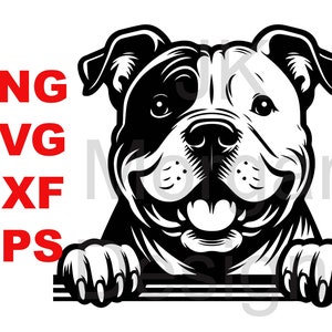 May include: Black and white illustration of a bulldog peeking over a surface with its tongue sticking out. The bulldog has a happy expression.