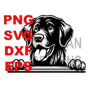 May include: Black and white illustration of a dog peeking over a wooden surface. The dog has a happy expression and its tongue is sticking out.