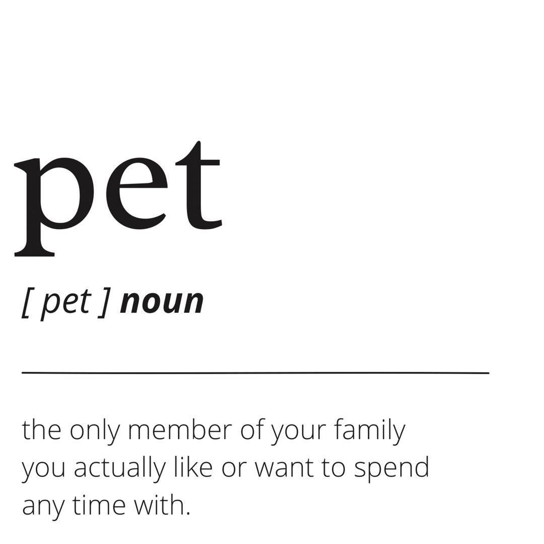 Pet Definition Print A4 Poster Funny Quote Print Wall Etsy