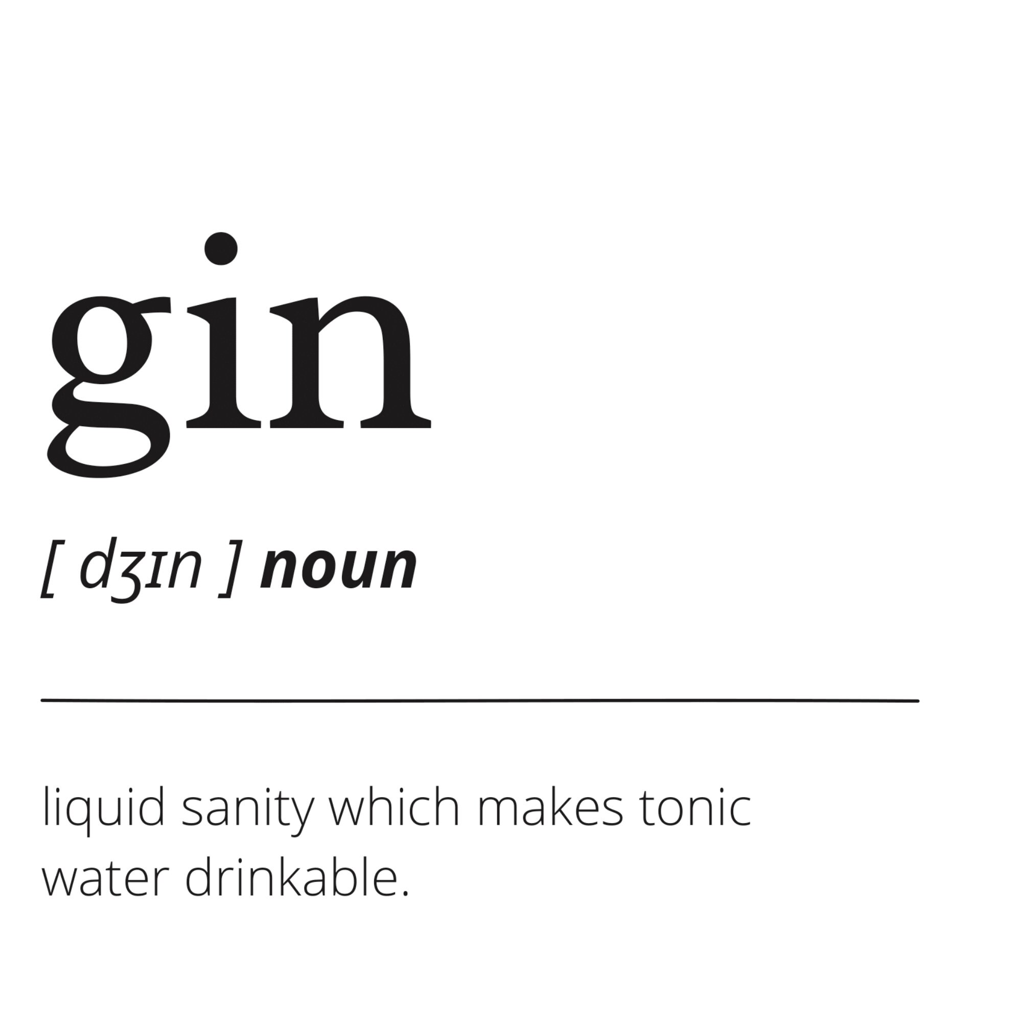 Gin Definition Print A4 Poster Funny Quote Print Wall Etsy