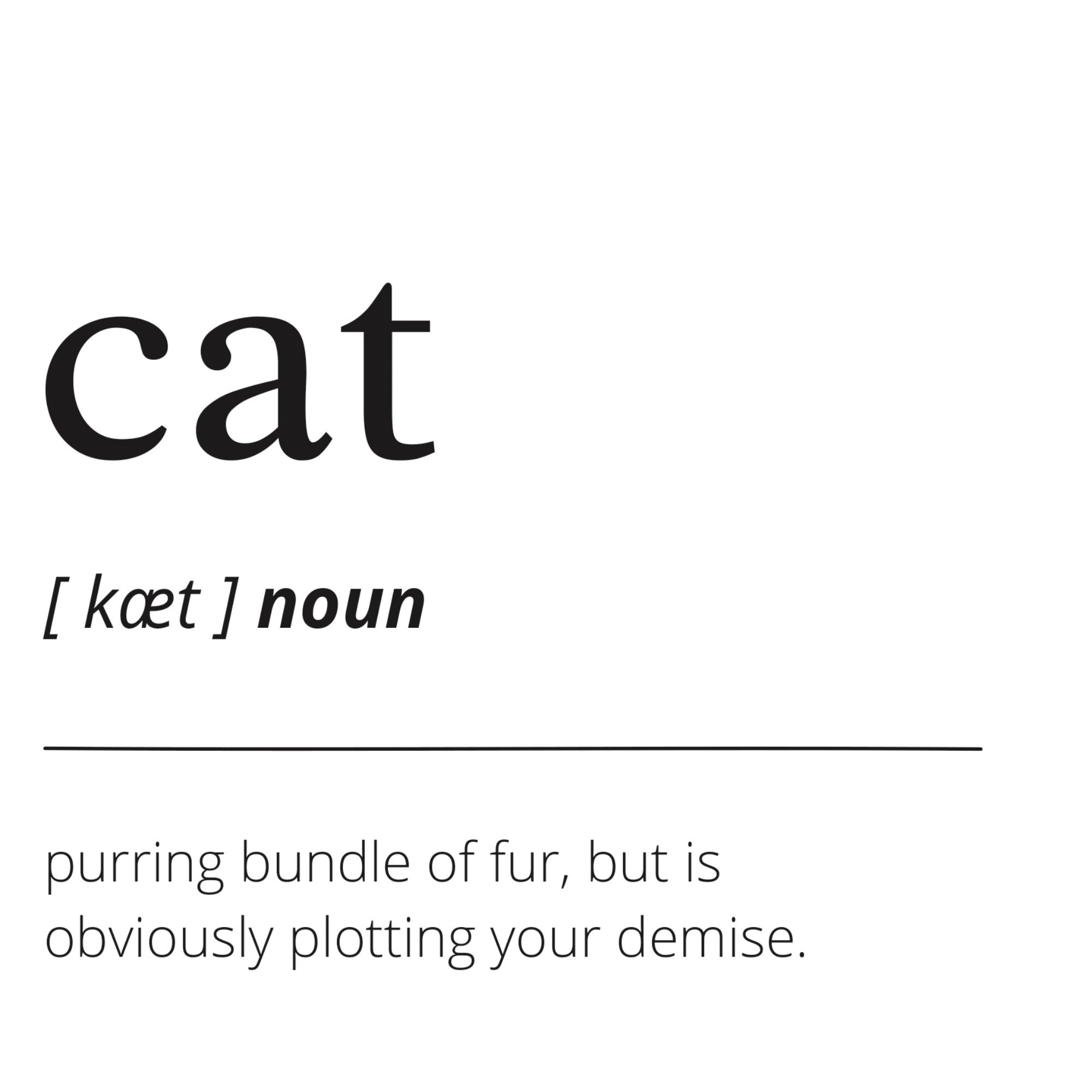 Cat Definition Greeting Card Cat Card Funny Card Funny Etsy