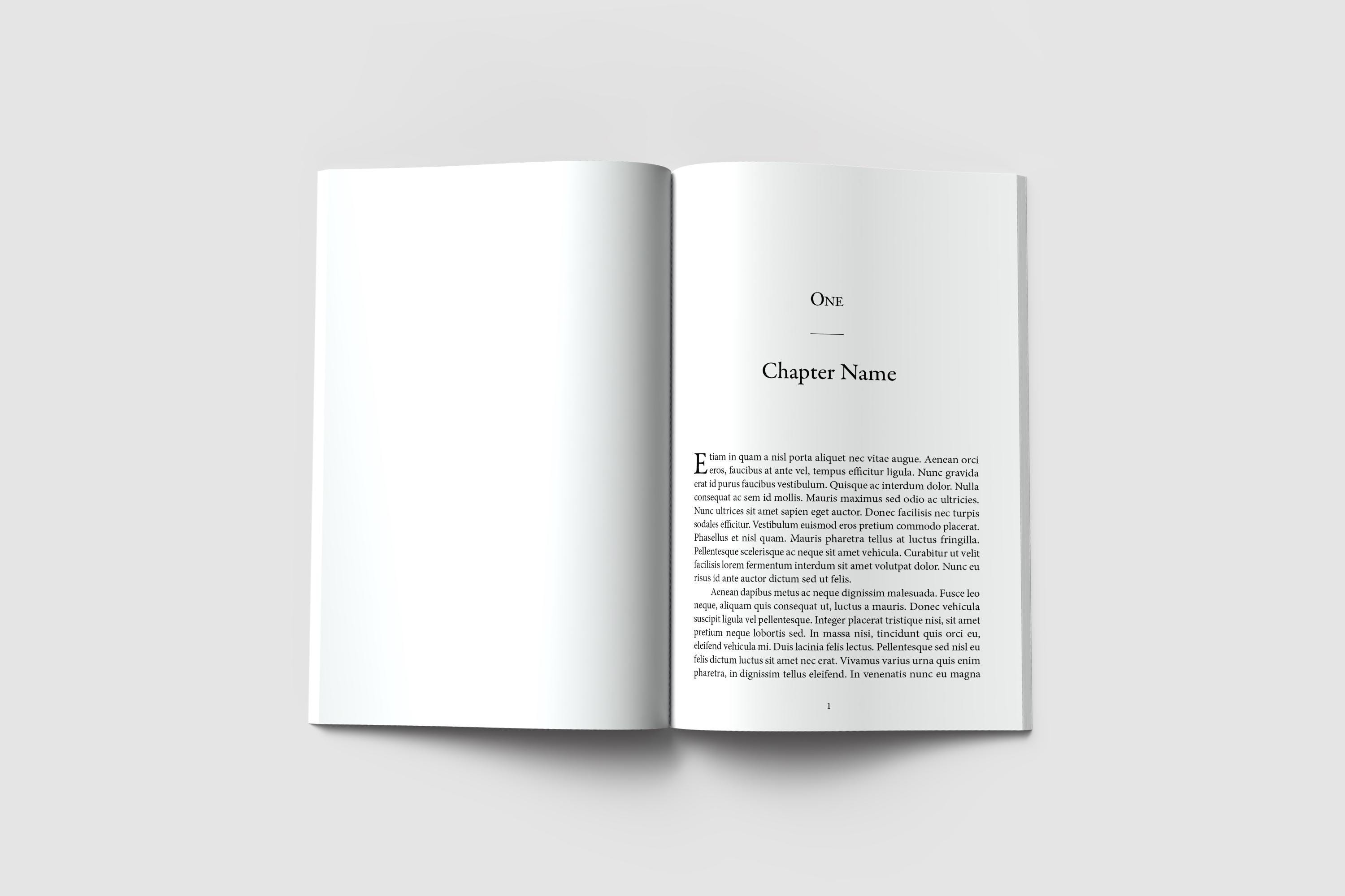 Professional Adobe Indesign Book Template: 6x9 Amazon KDP Interior With ...