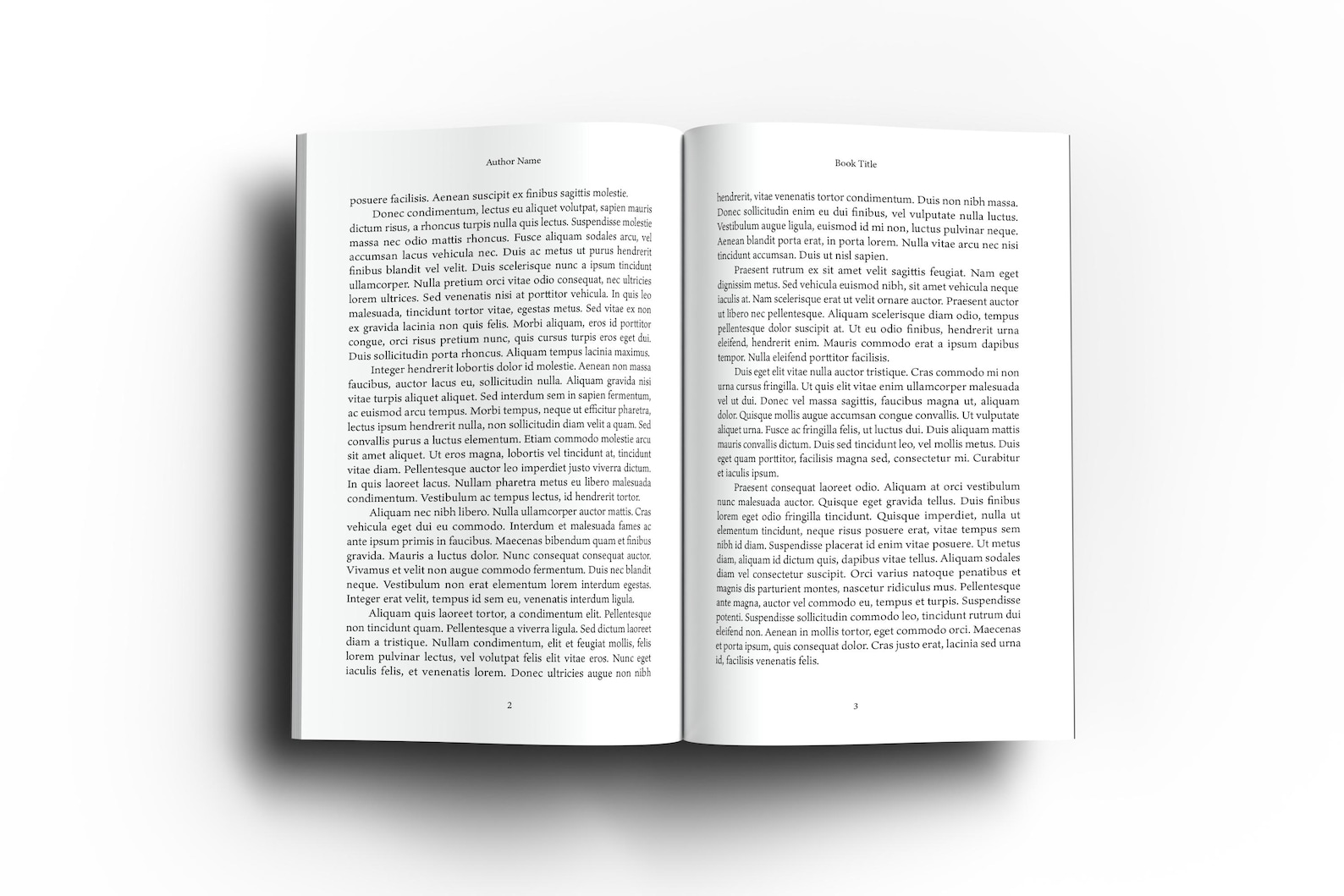 Serif Indesign Example Classic Serif 6 X 9 Adobe Indesign Book Template for KDP and ...