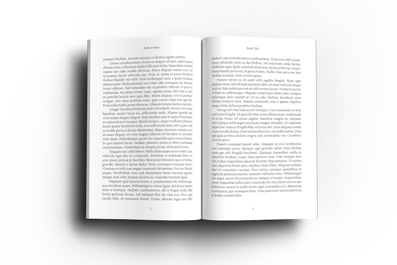 May include: An open book with white pages, displaying text in a serif font. The book is lying flat, with the left page labeled "Author Theme" and the right page labeled "Book Title". The pages are filled with paragraphs of text.