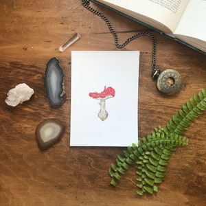 Fly Agaric Toadstool -Fine Art Print 5x7