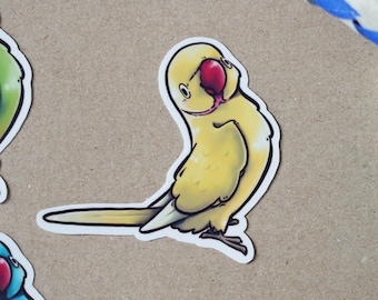 Indian Ringneck - Lutino - premium die cut vinyl sticker | Cute bird stationary | Parrot sticker | Small Parakeet Stationary gift