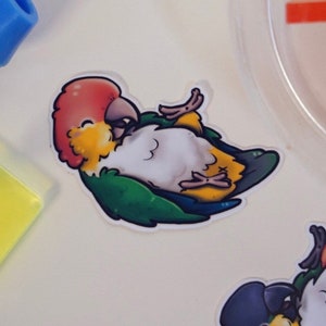 White Bellied Caique sticker - premium waterproof die cut vinyl sticker | Cute playful Parakeet | Parrot Bird Stationary gift